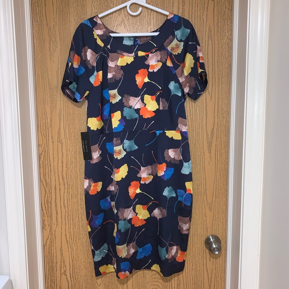 The Limited NWT Size 10 Blue Floral Dress